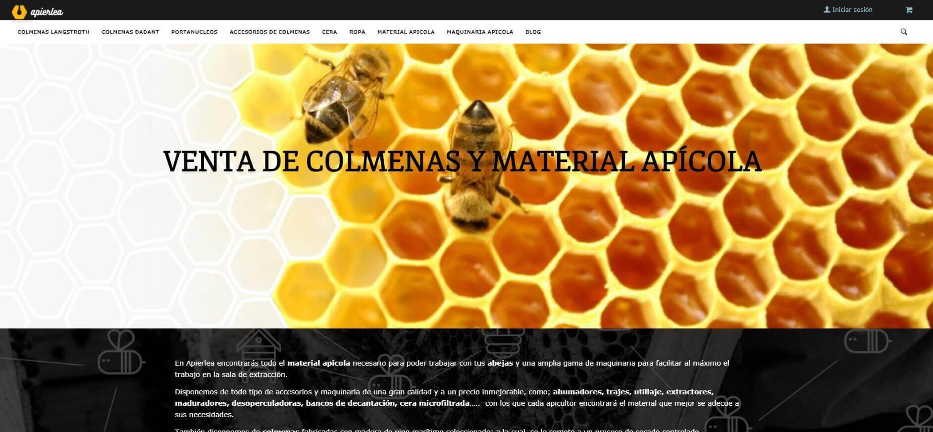 Diseño de paginas web en Bilbao, expertos en seo local y google ads